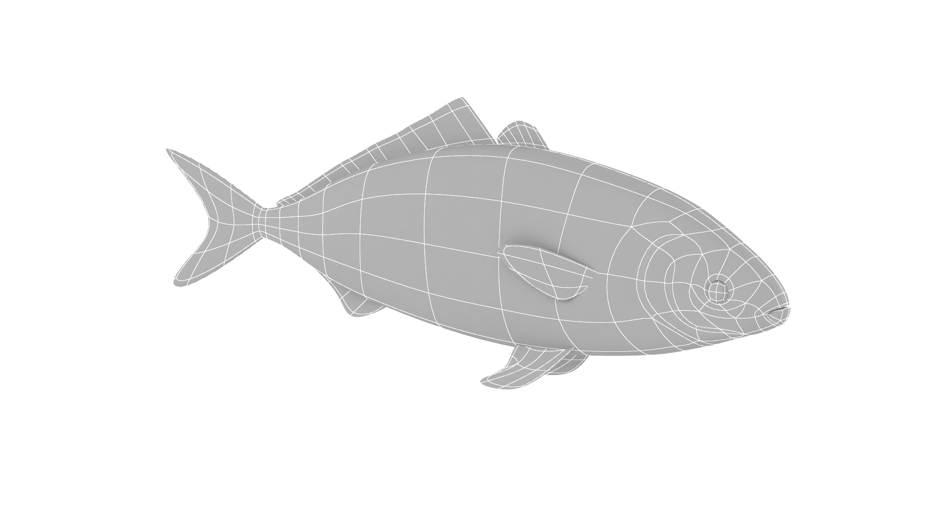 Fish Collection 3D model_23