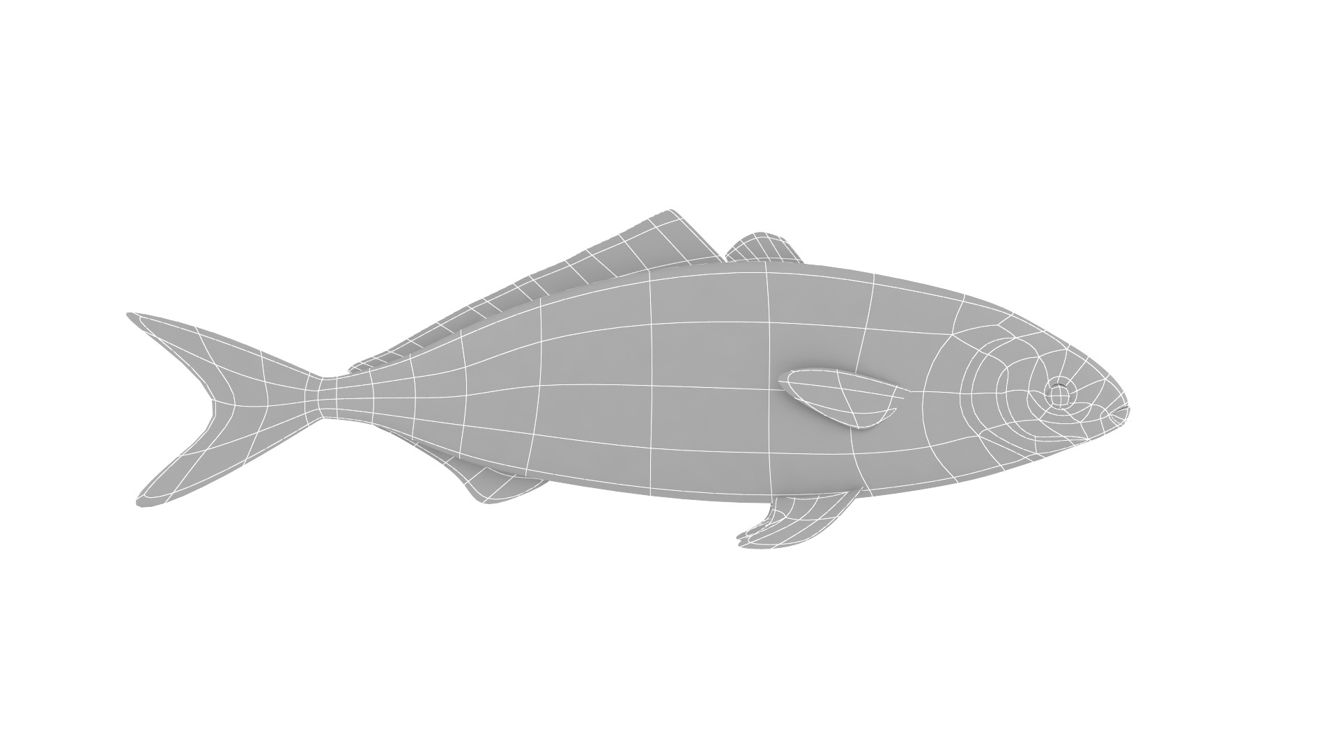 Fish Collection 3D model_22