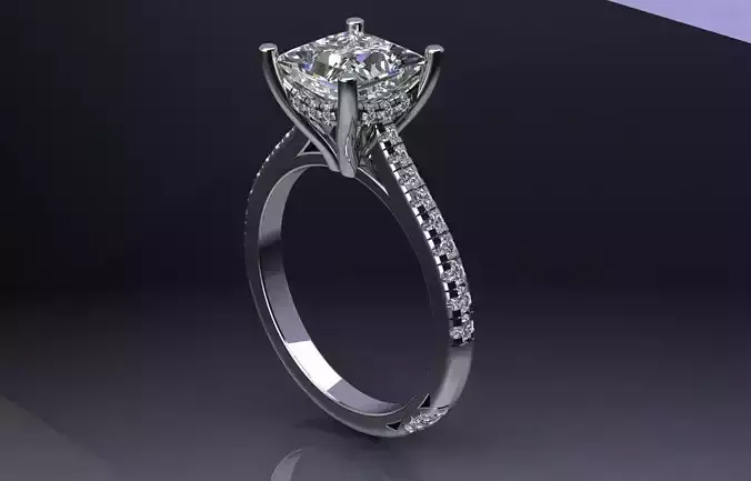 Princess cut Engagement Ring