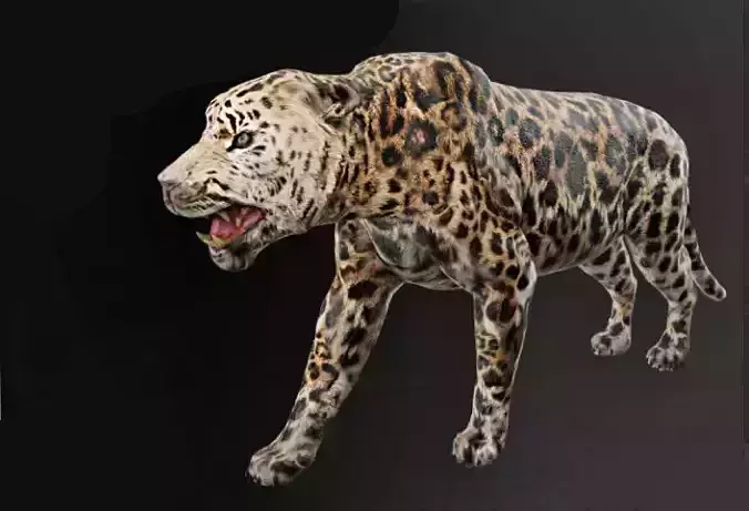 LION CAT LEOPAR BLACK WOLF  ANIMAL PACK