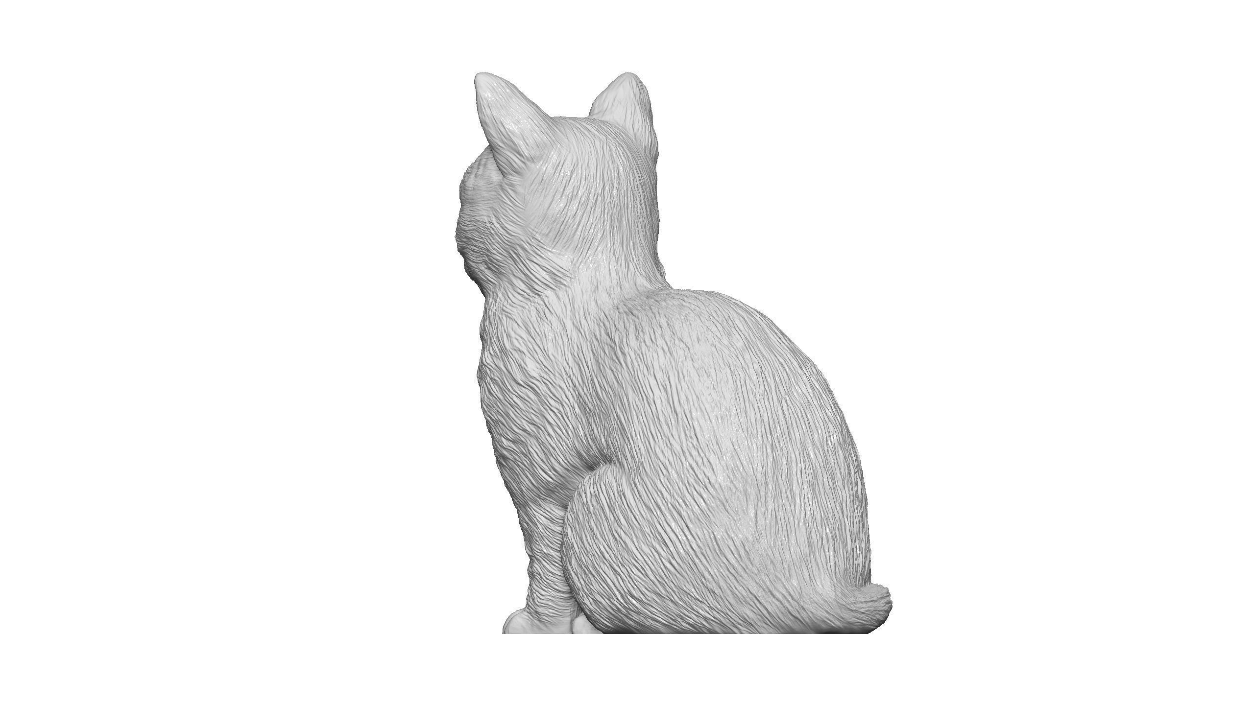 Cat for 3d printing  3D print model_6