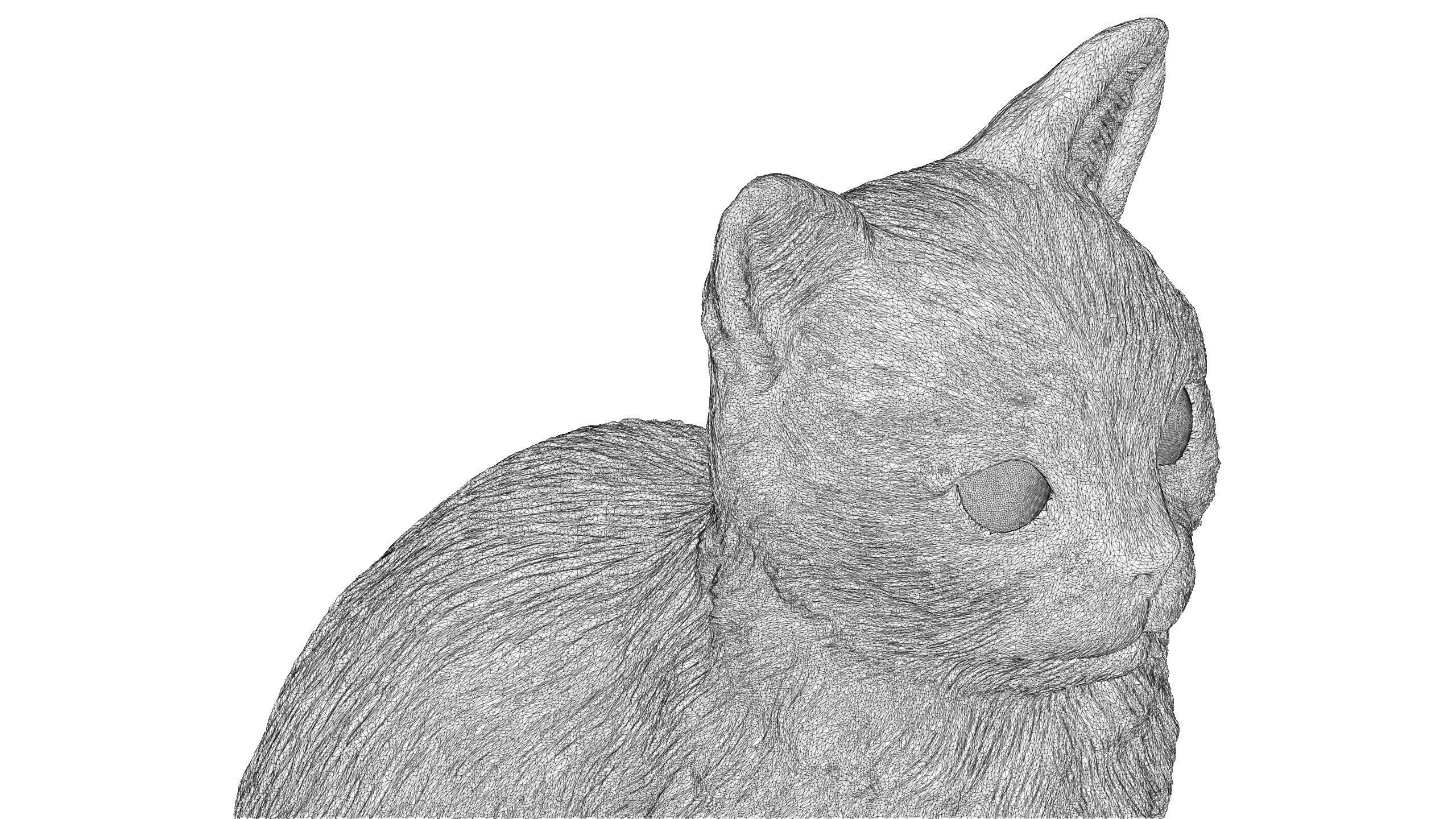 Cat for 3d printing  3D print model_11