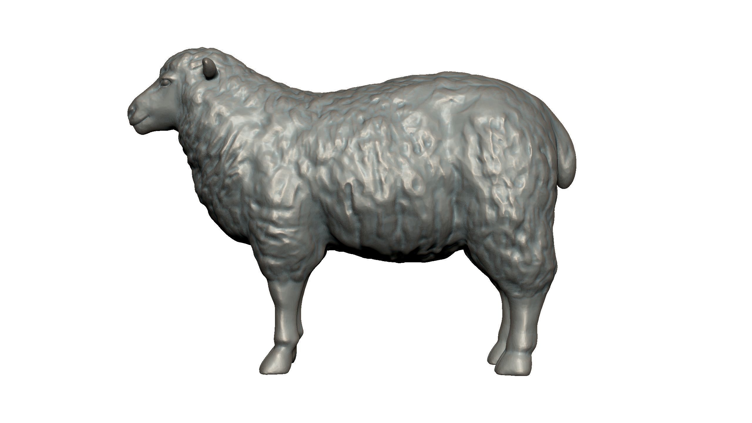Sheep 3D print model_2