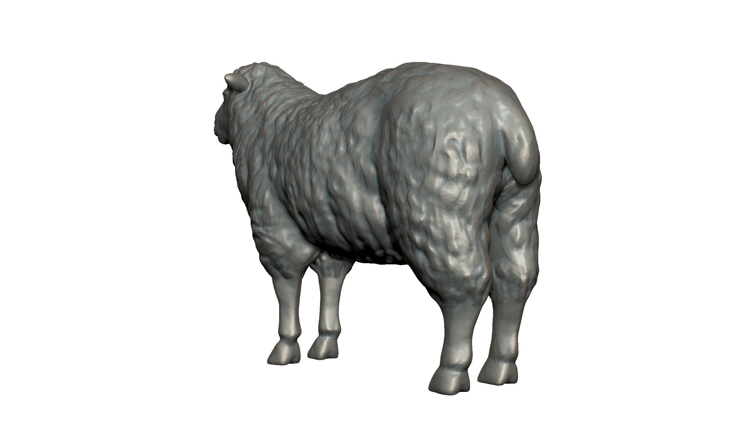Sheep 3D print model_3
