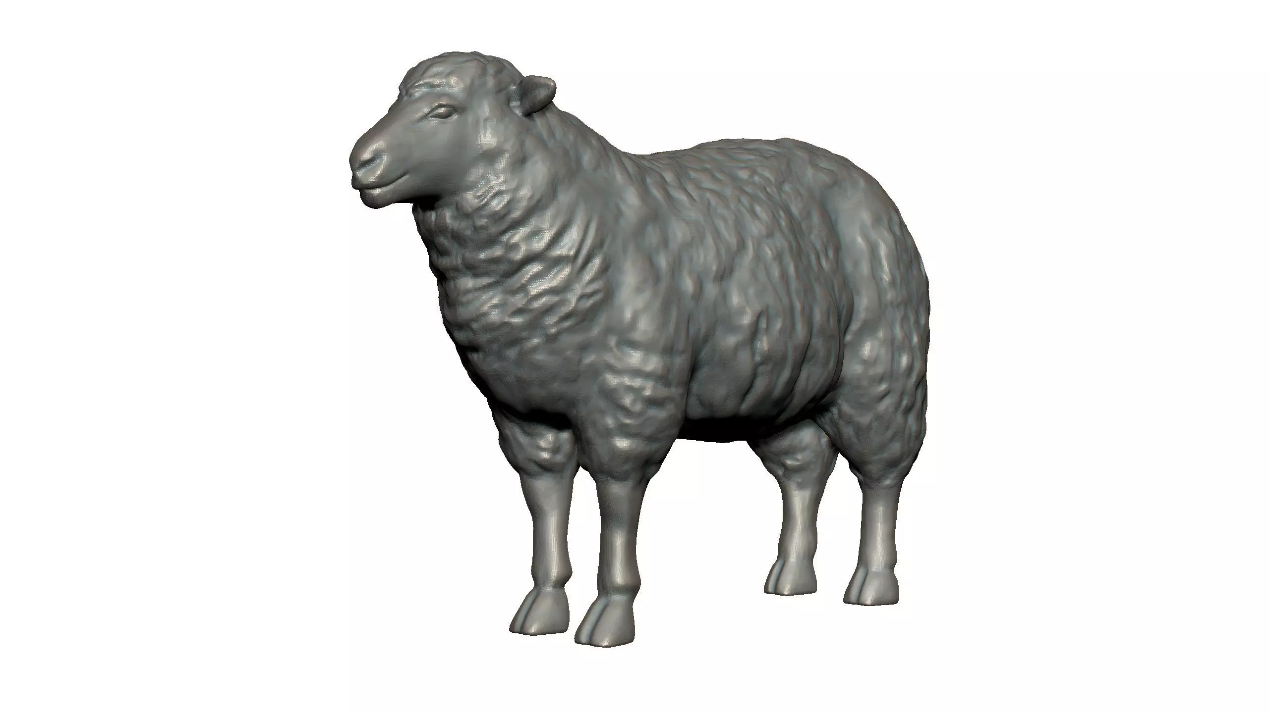 Sheep 3D print model_0