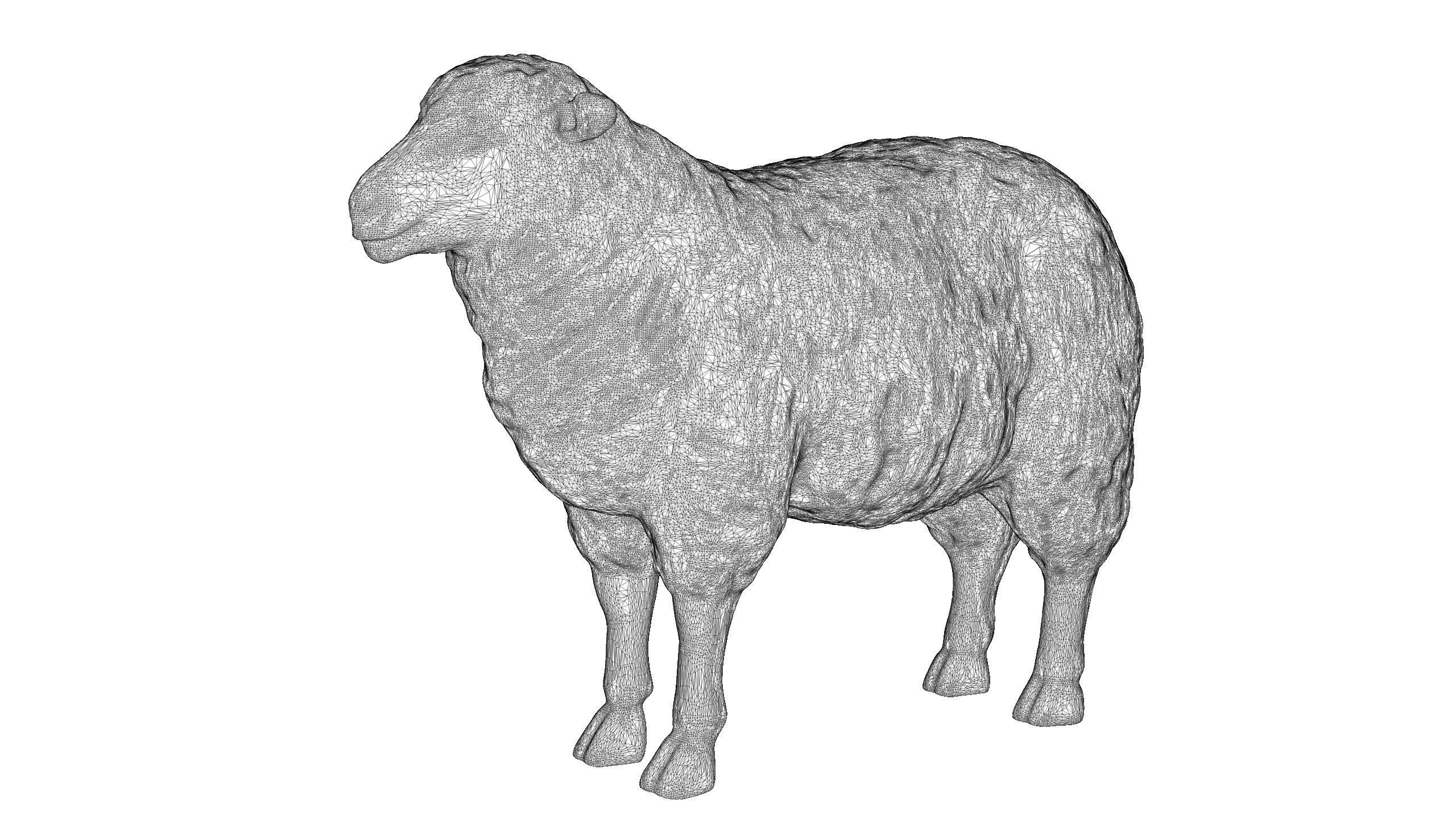 Sheep 3D print model_6