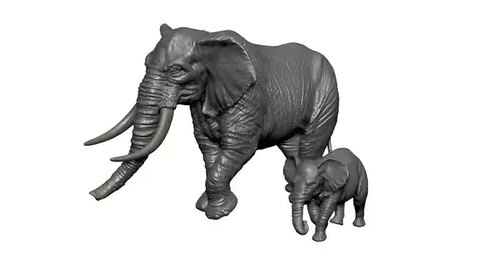 elephant mother and calf 