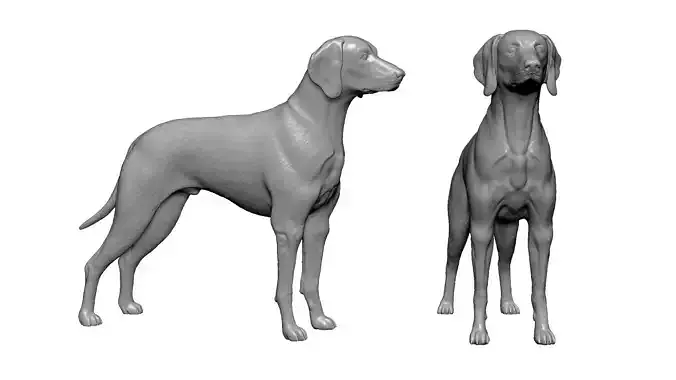 Hungarian Dog  3D print model