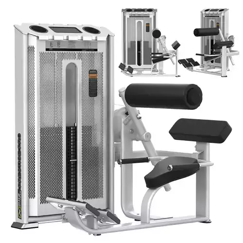 E7031A Back Extension DHZ fitness equipment