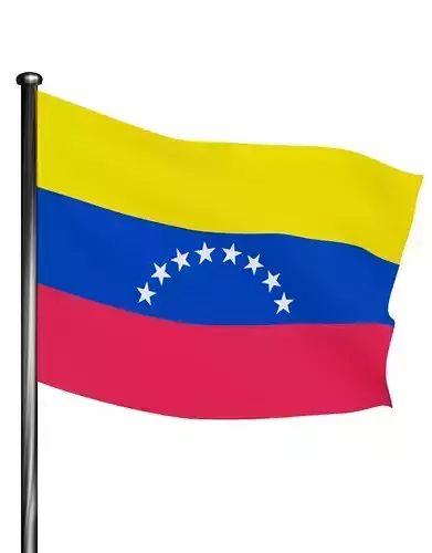 Venezuela national flag 3D model