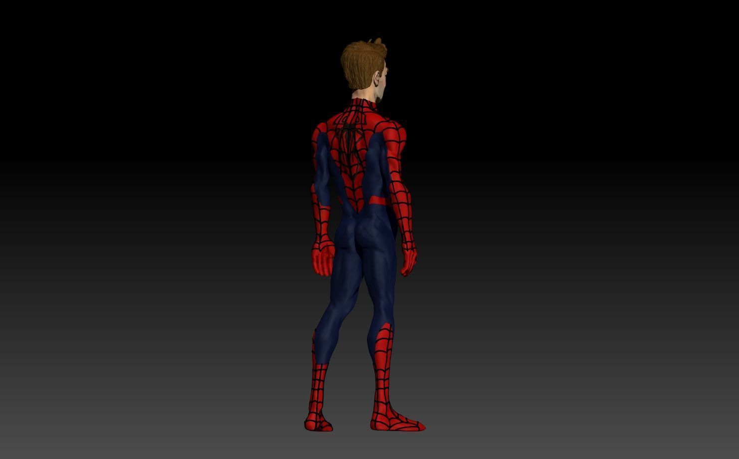 Spiderman 3D model_2