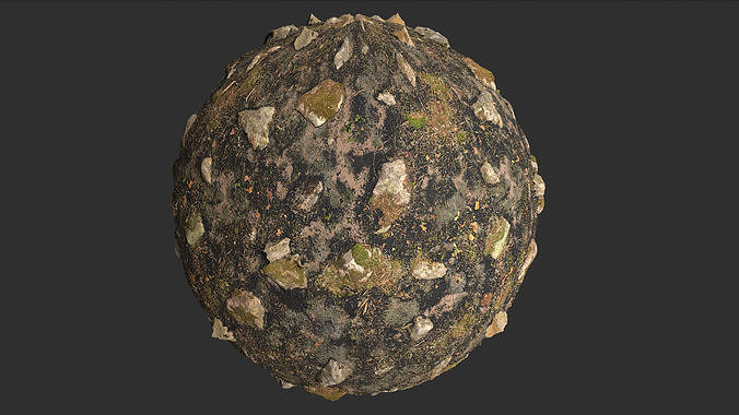 Fire Damage Forest Ground Rocks Pbr 4k Texture Texture