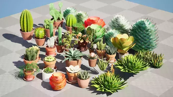 Potted Cactus and Succulent 3D Collection