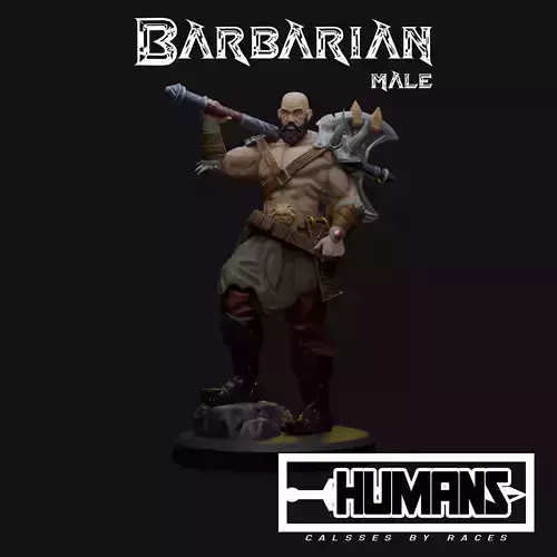 Male Barbarian