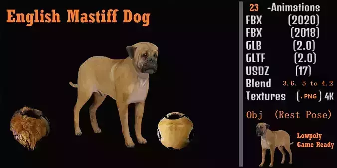 English Mastiff Dog
