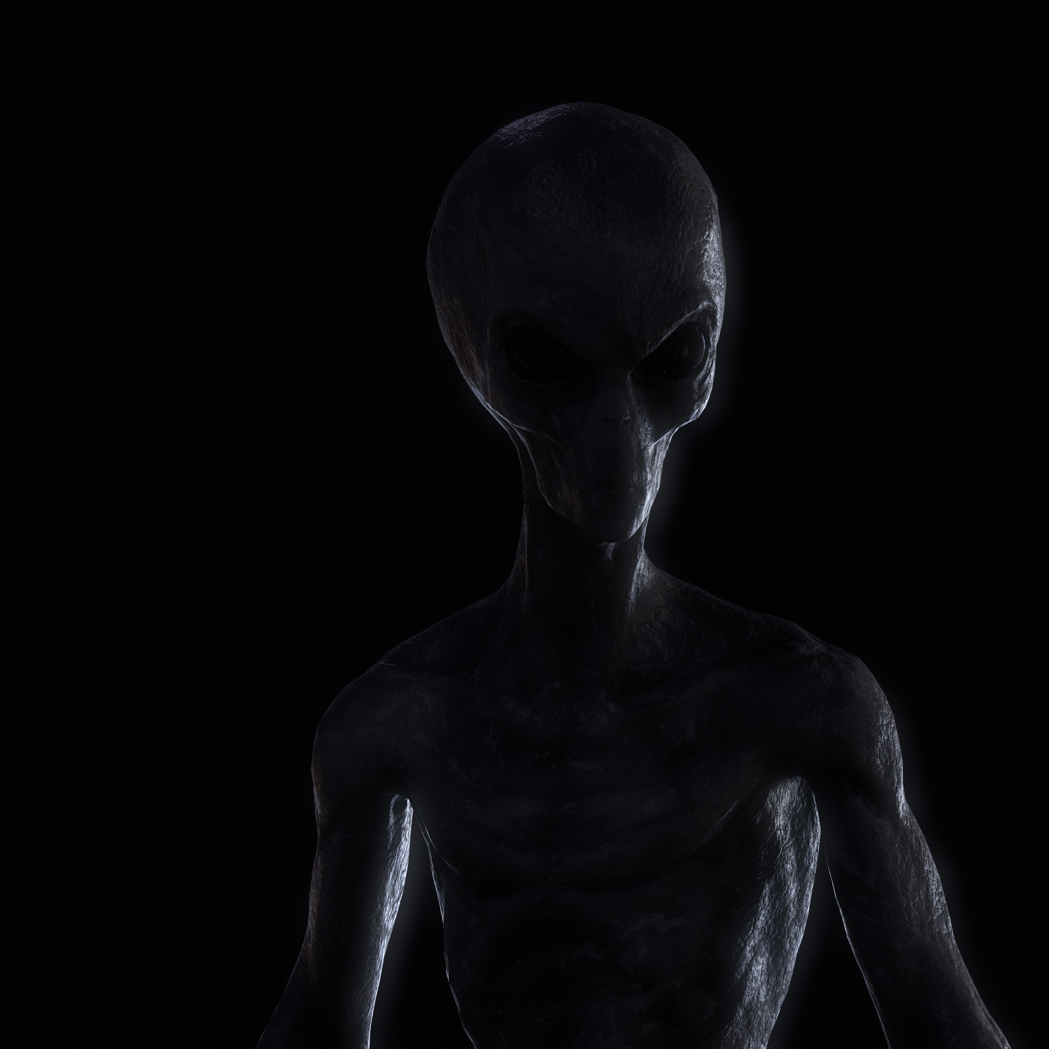 Grey Alien Low-poly 3D model_4