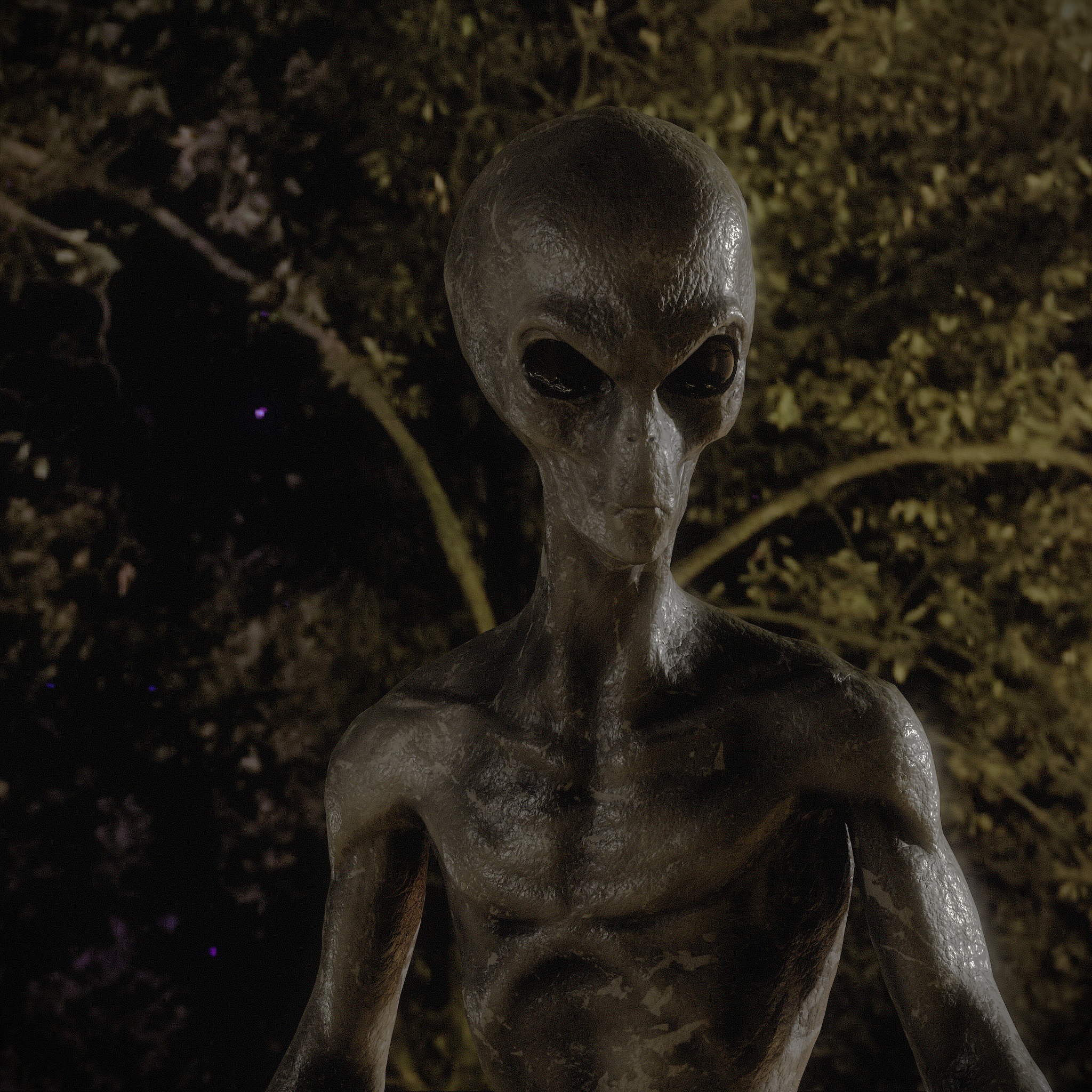 Grey Alien Low-poly 3D model_3