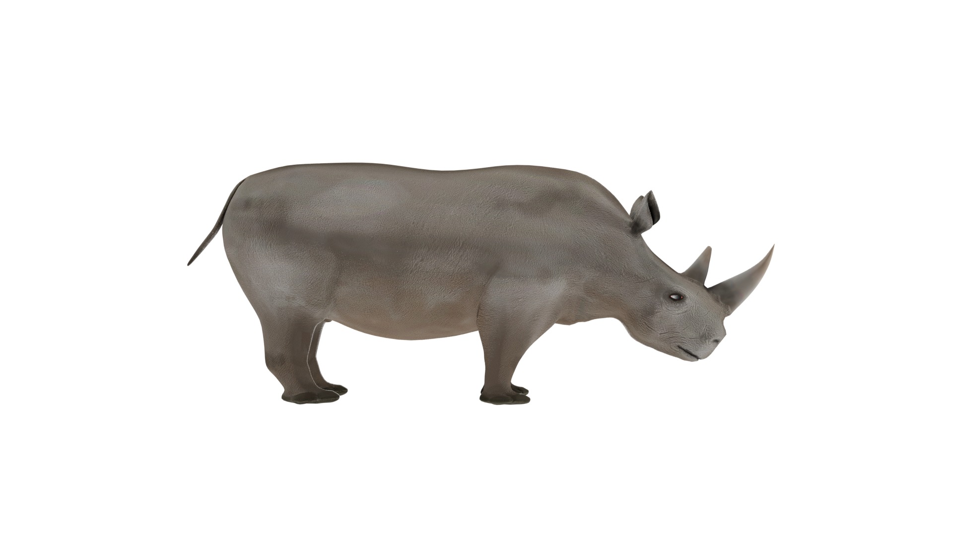 Rhino 3D Model Rigged and Animated Low-poly 3D model_4