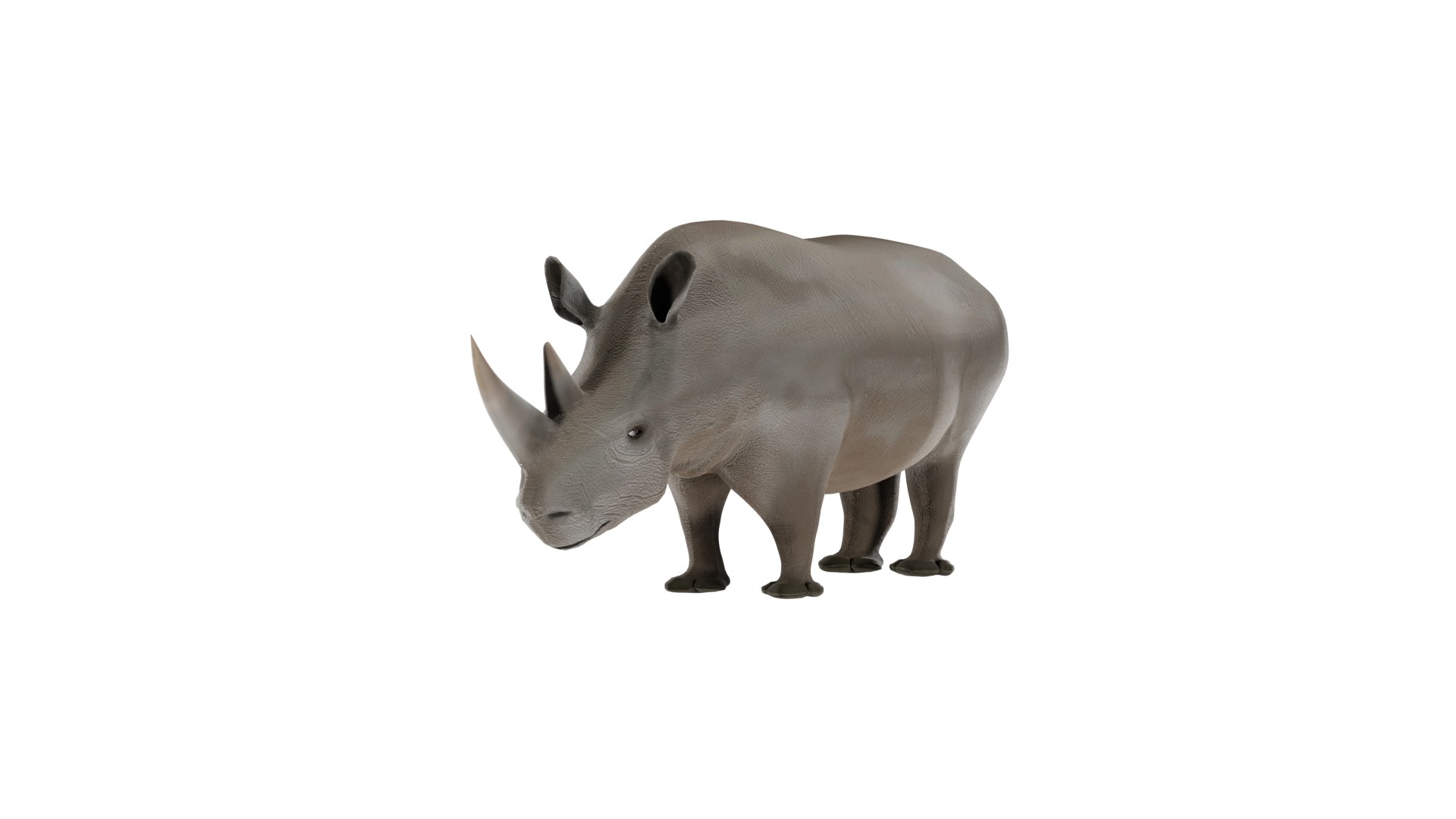 Rhino 3D Model Rigged and Animated Low-poly 3D model_9