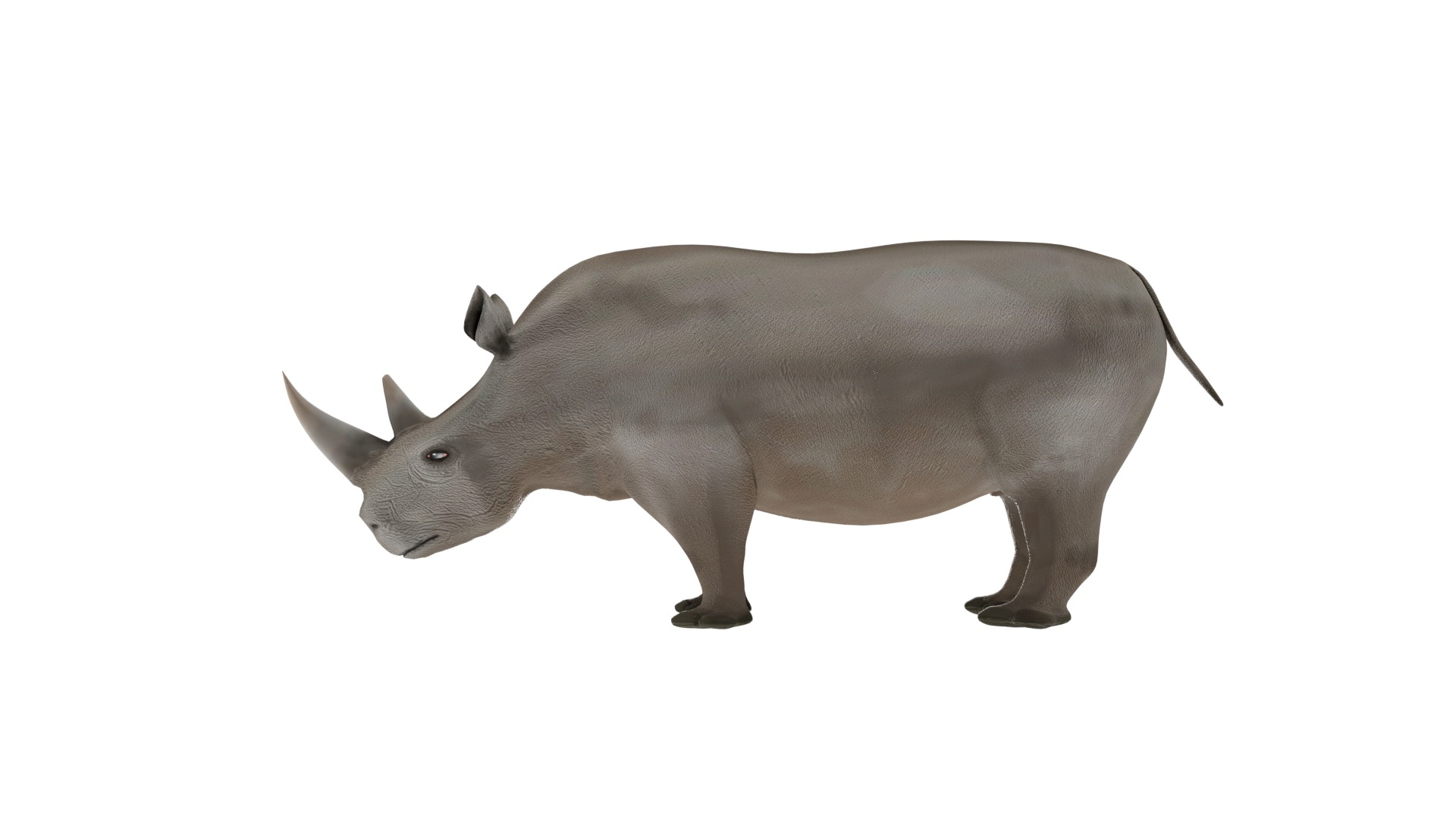 Rhino 3D Model Rigged and Animated Low-poly 3D model_3