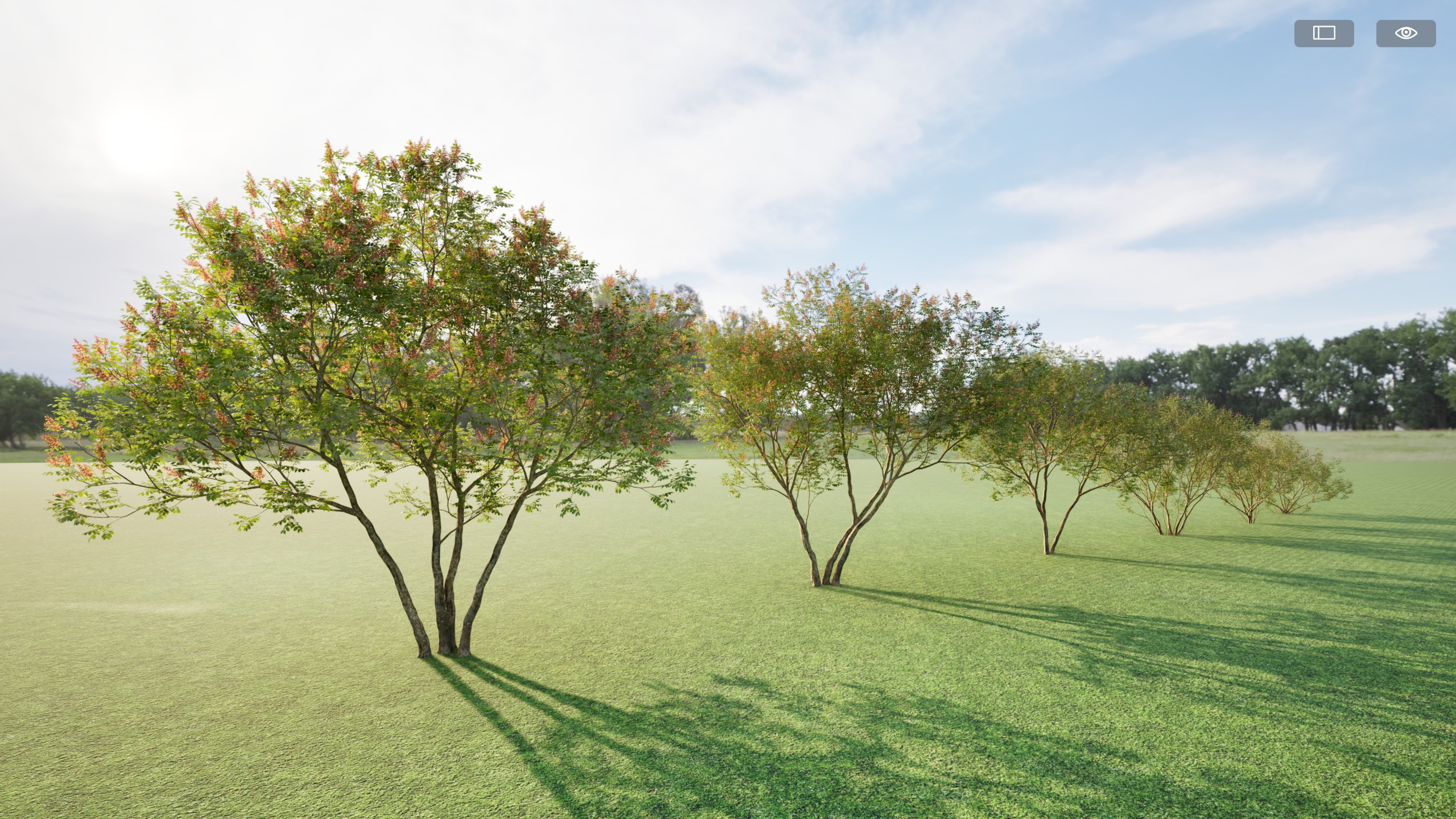 Twinmotion assets Amorpha fruticosa  3D model_2