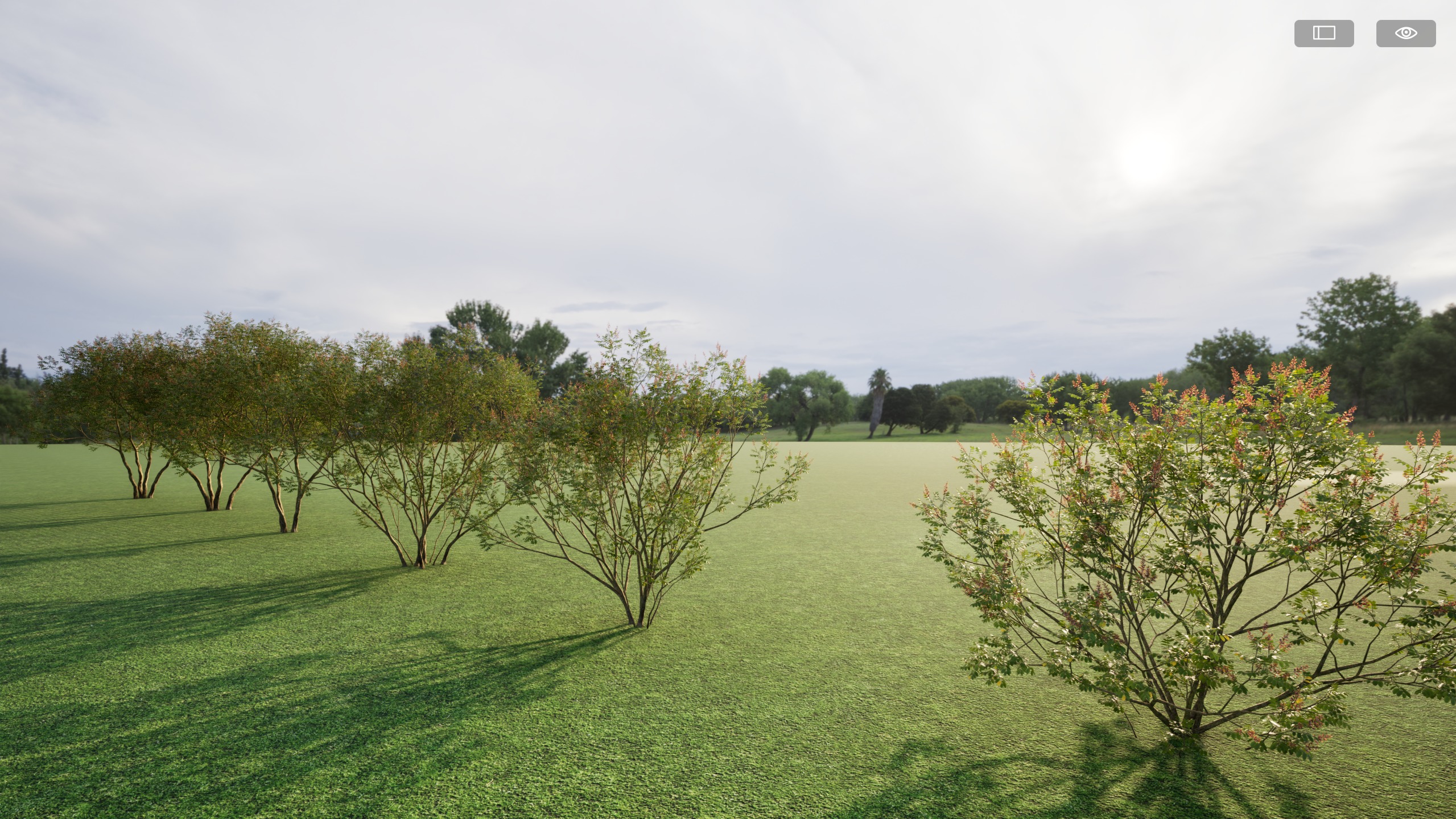 Twinmotion assets Amorpha fruticosa  3D model_1