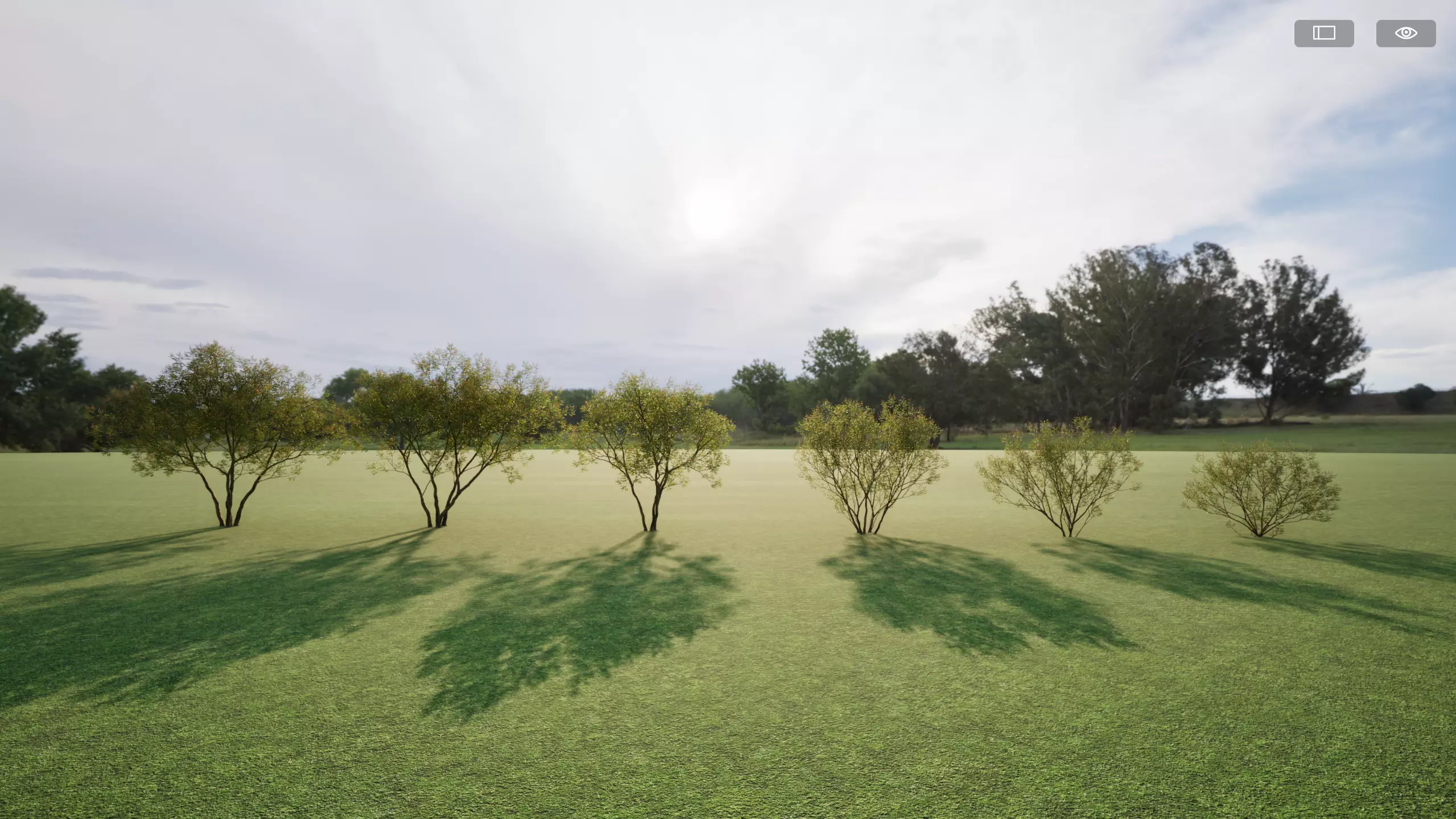 Twinmotion assets Amorpha fruticosa  3D model_0