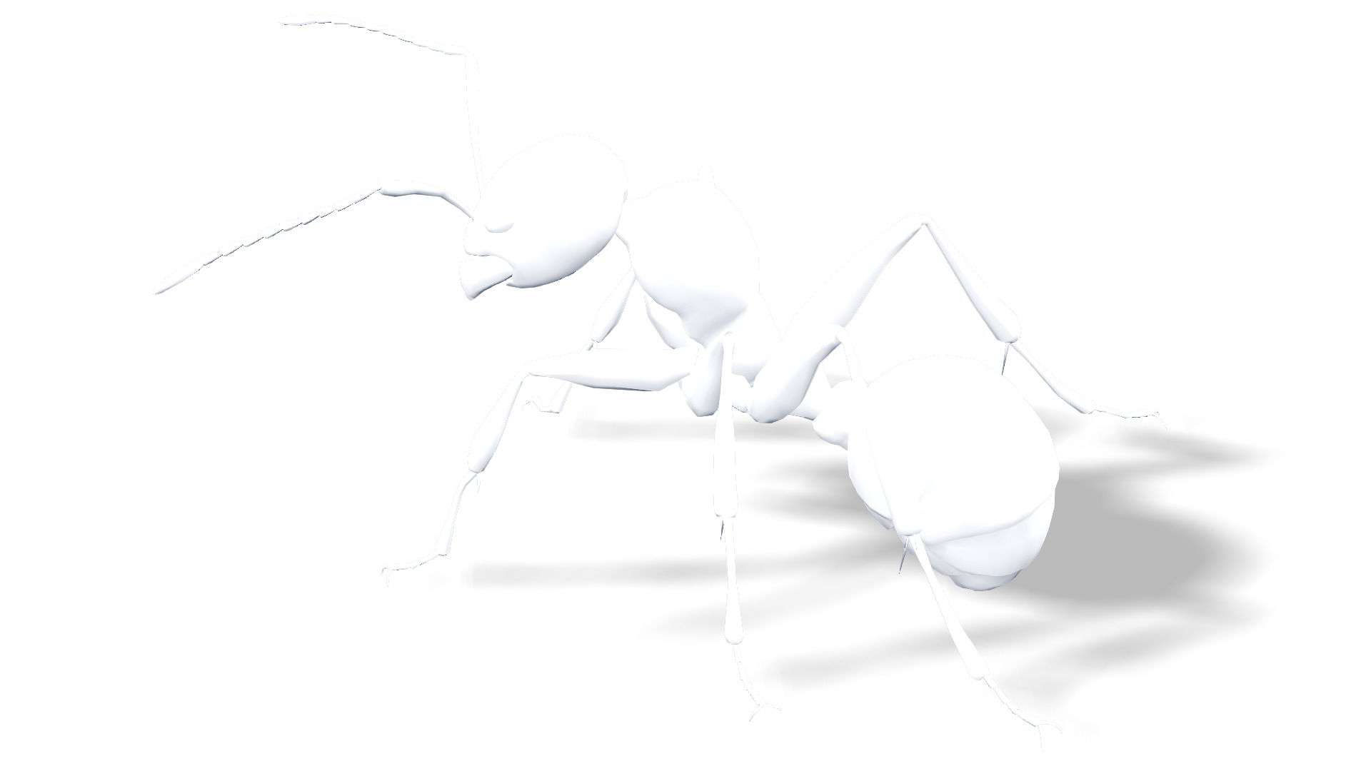 Animated Ant World Rigged Low-poly 3D model_8