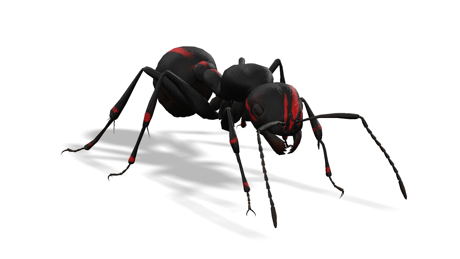 Animated Ant World Rigged Low-poly 3D model_13