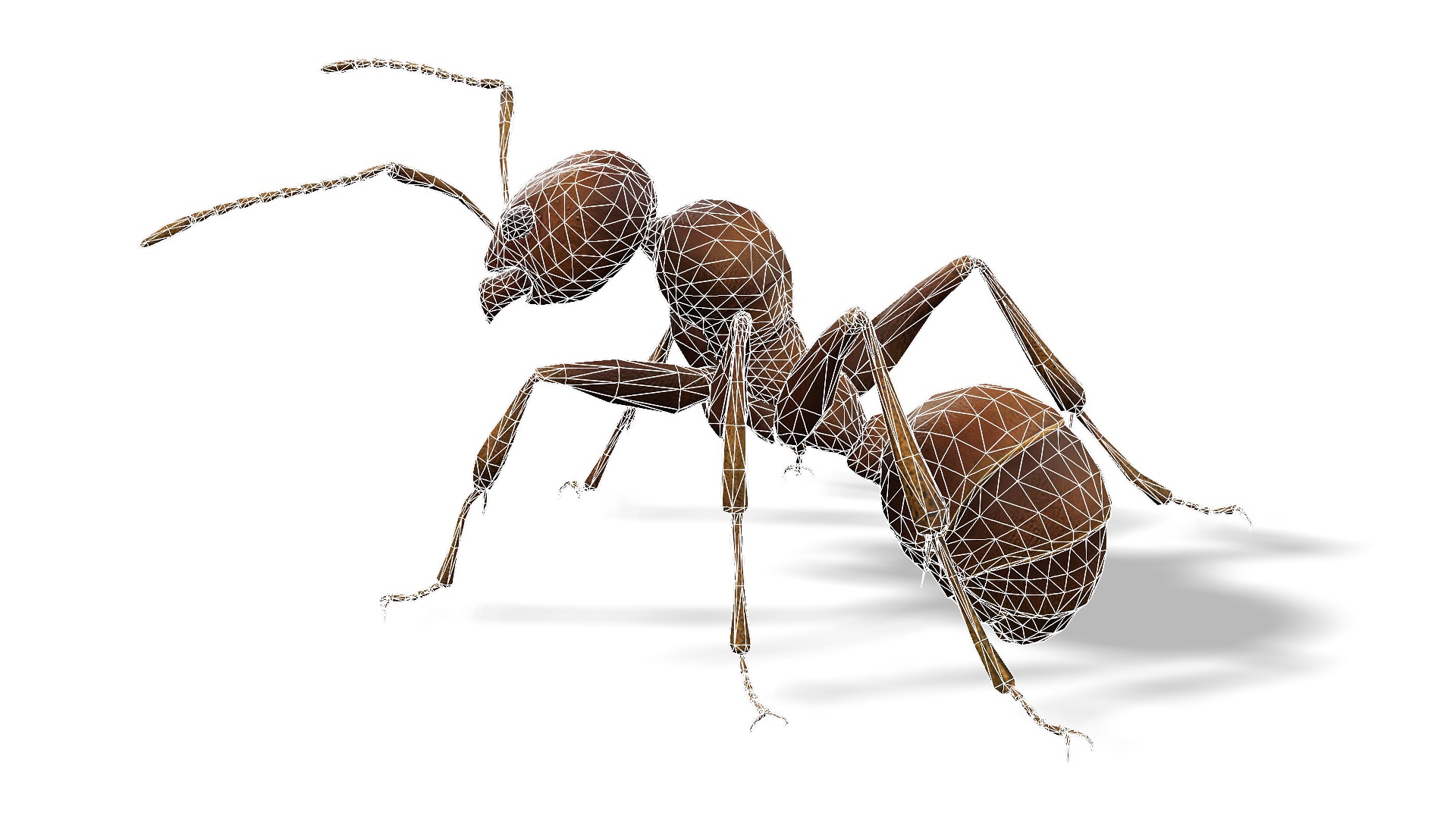 Animated Ant World Rigged Low-poly 3D model_11