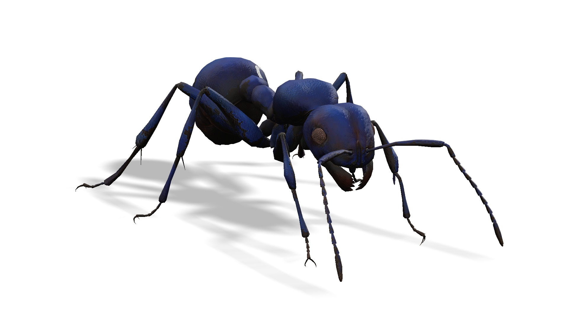 Animated Ant World Rigged Low-poly 3D model_12