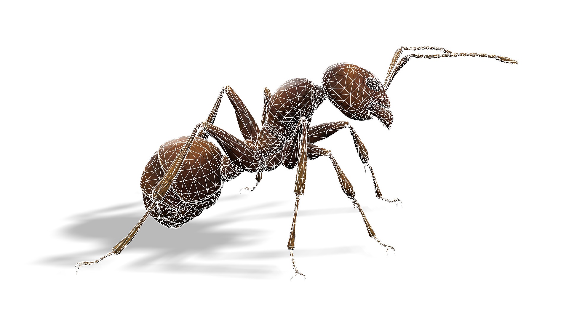 Animated Ant World Rigged Low-poly 3D model_9