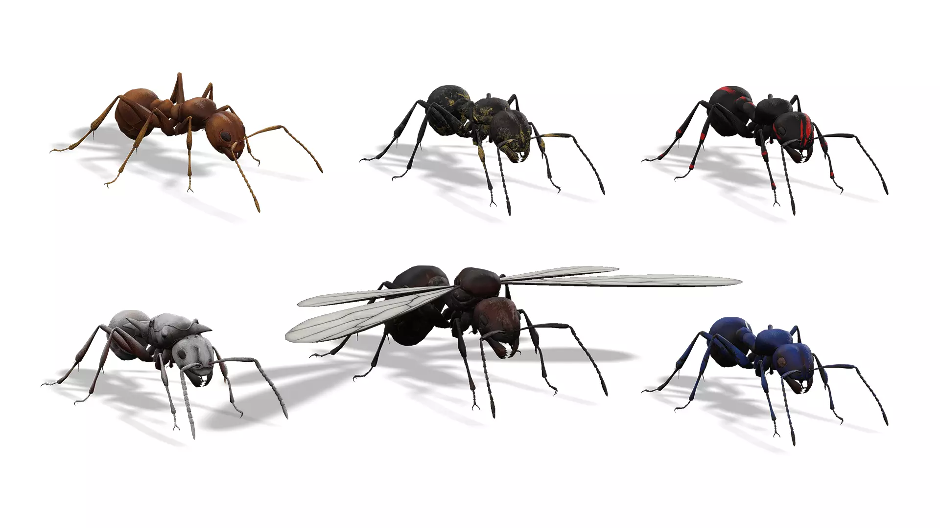 Animated Ant World Rigged Low-poly 3D model_0