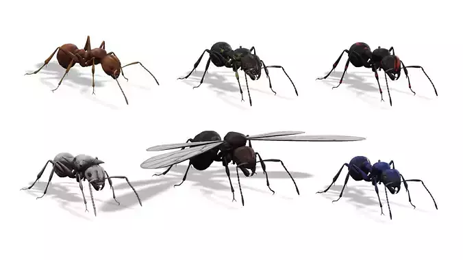 Animated Ant World Rigged Low-poly 3D model