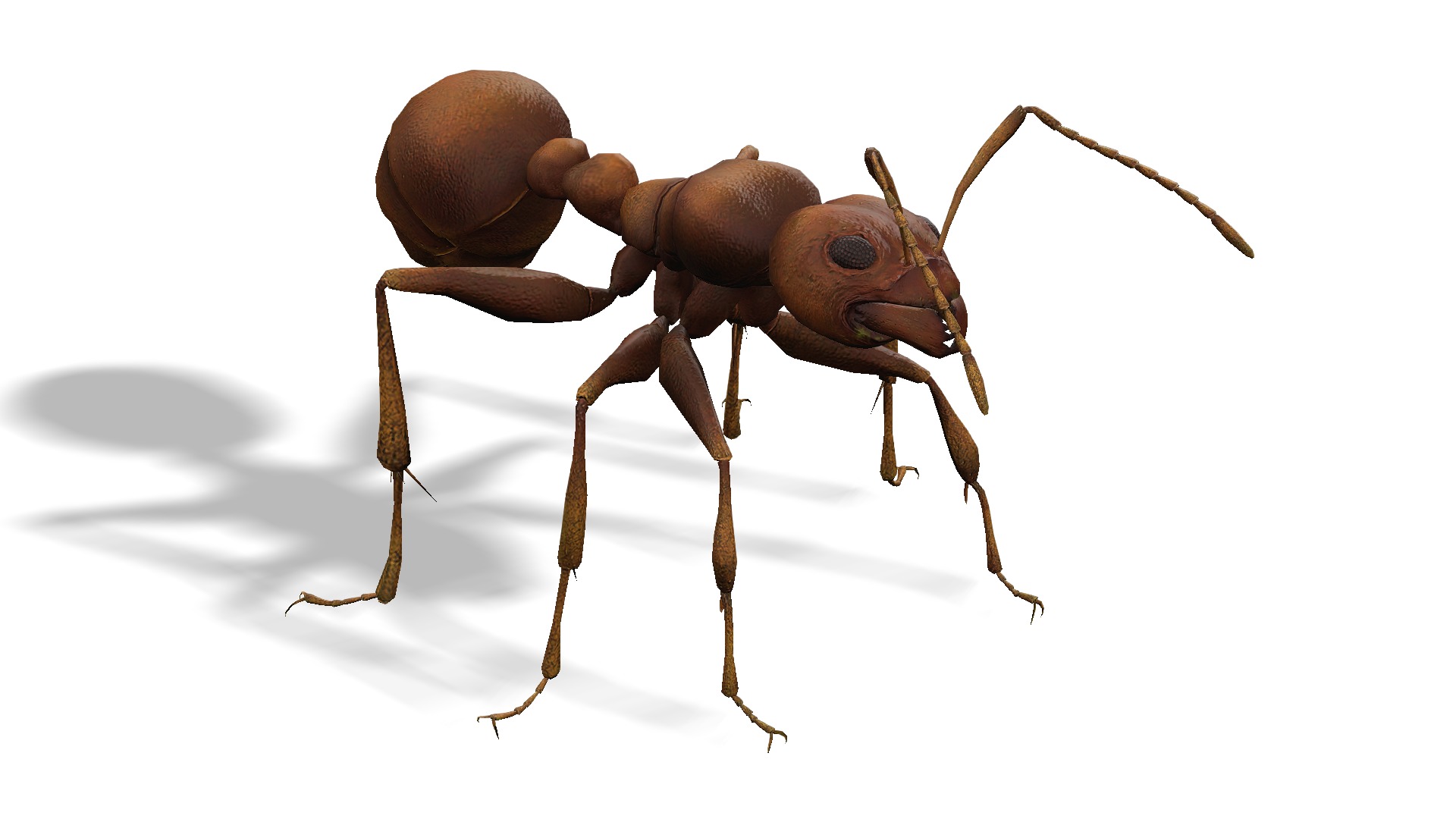 Animated Ant World Rigged Low-poly 3D model_4