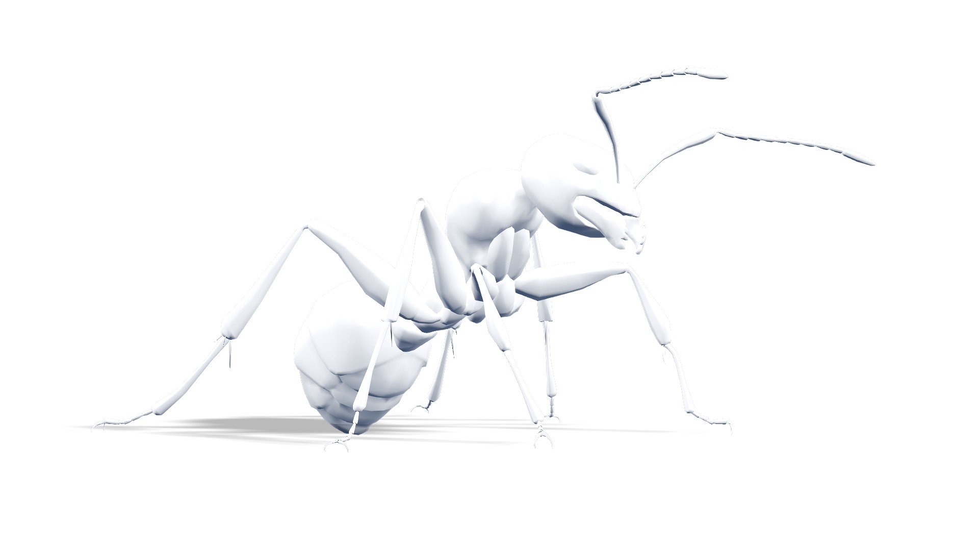 Animated Ant World Rigged Low-poly 3D model_7