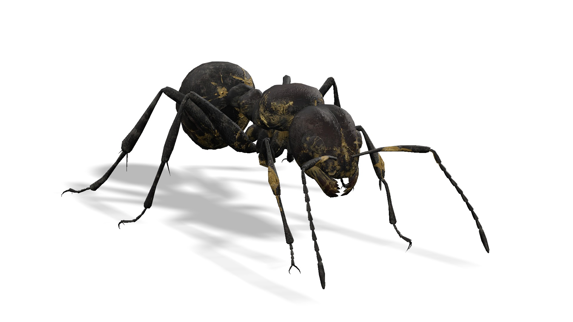 Animated Ant World Rigged Low-poly 3D model_16