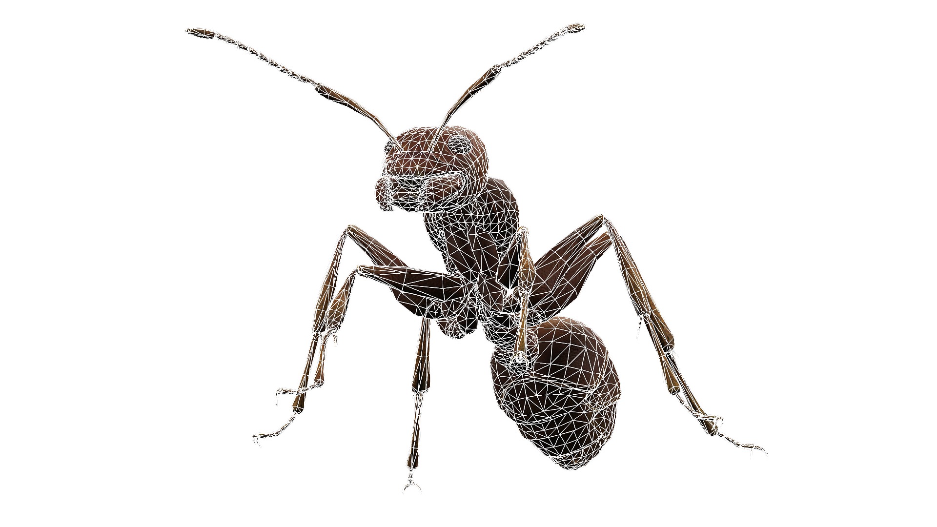 Animated Ant World Rigged Low-poly 3D model_10