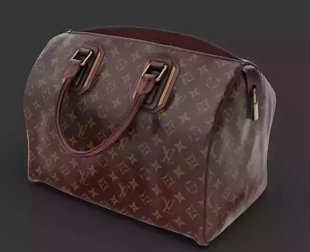 Louis Vuitton Damaged Bag