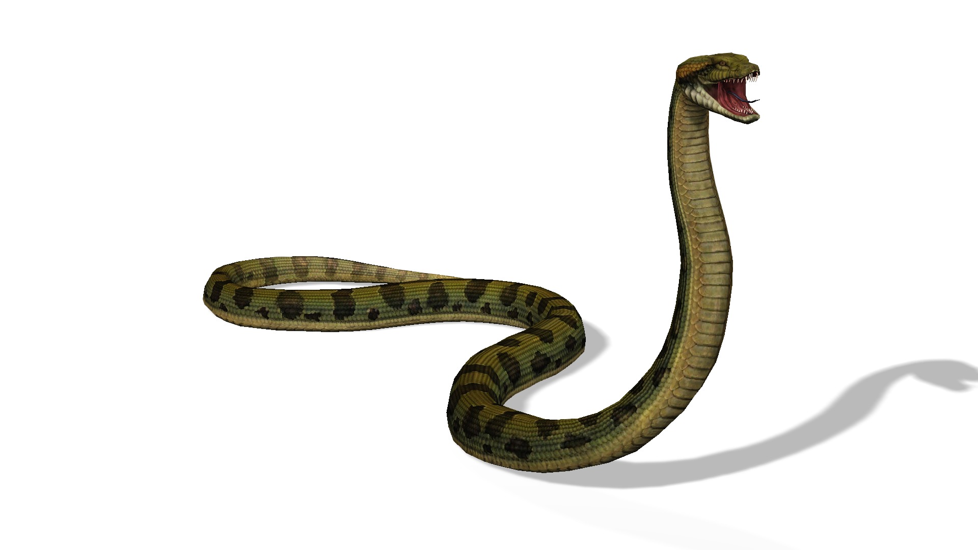 Animated Anaconda Rigged Low-poly 3D model_2