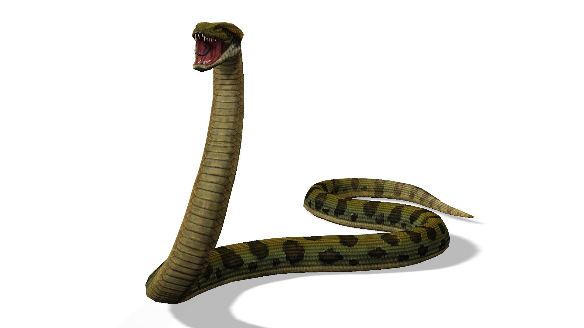 Animated Anaconda Rigged Low-poly 3D model_5