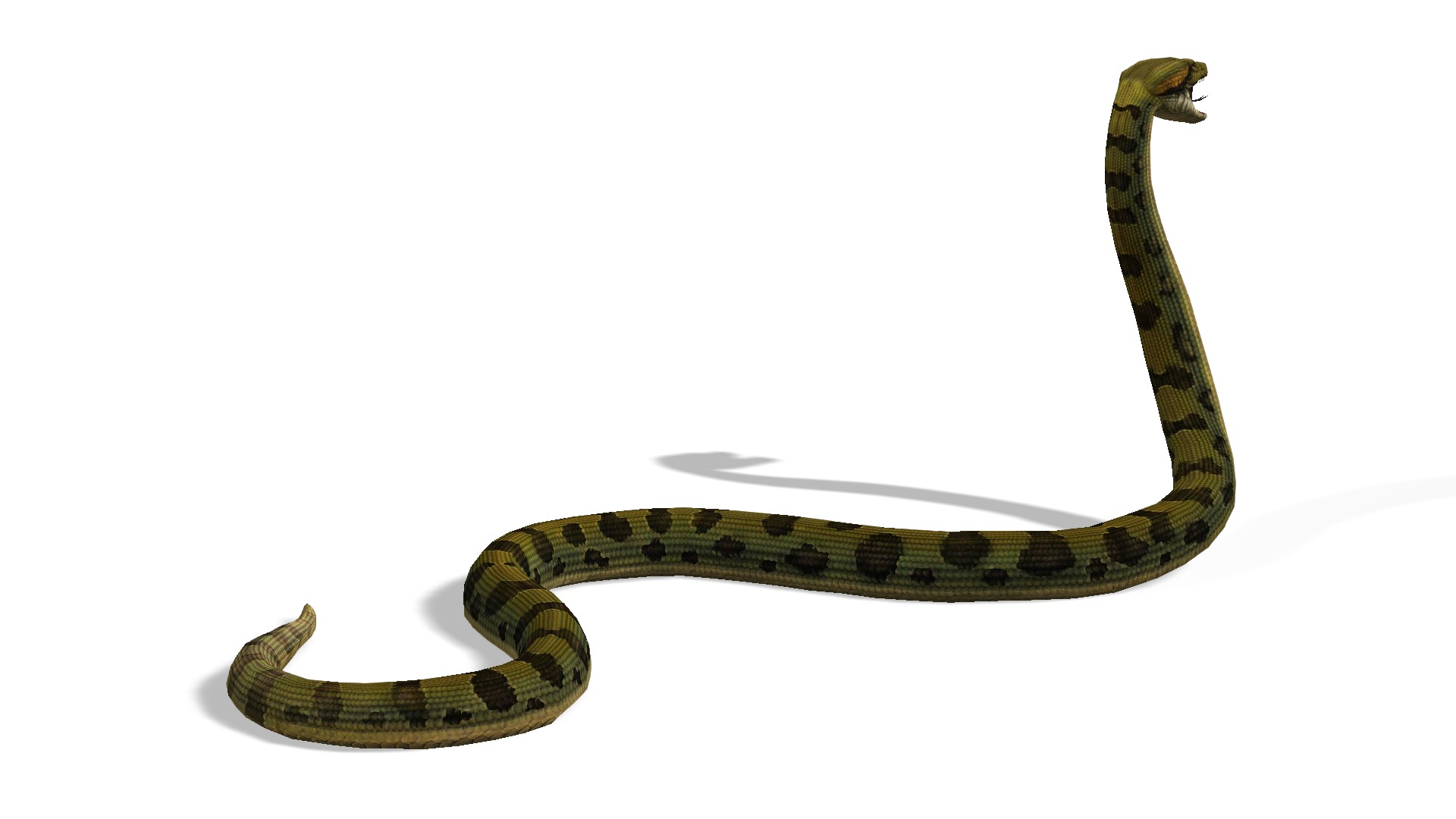 Animated Anaconda Rigged Low-poly 3D model_7
