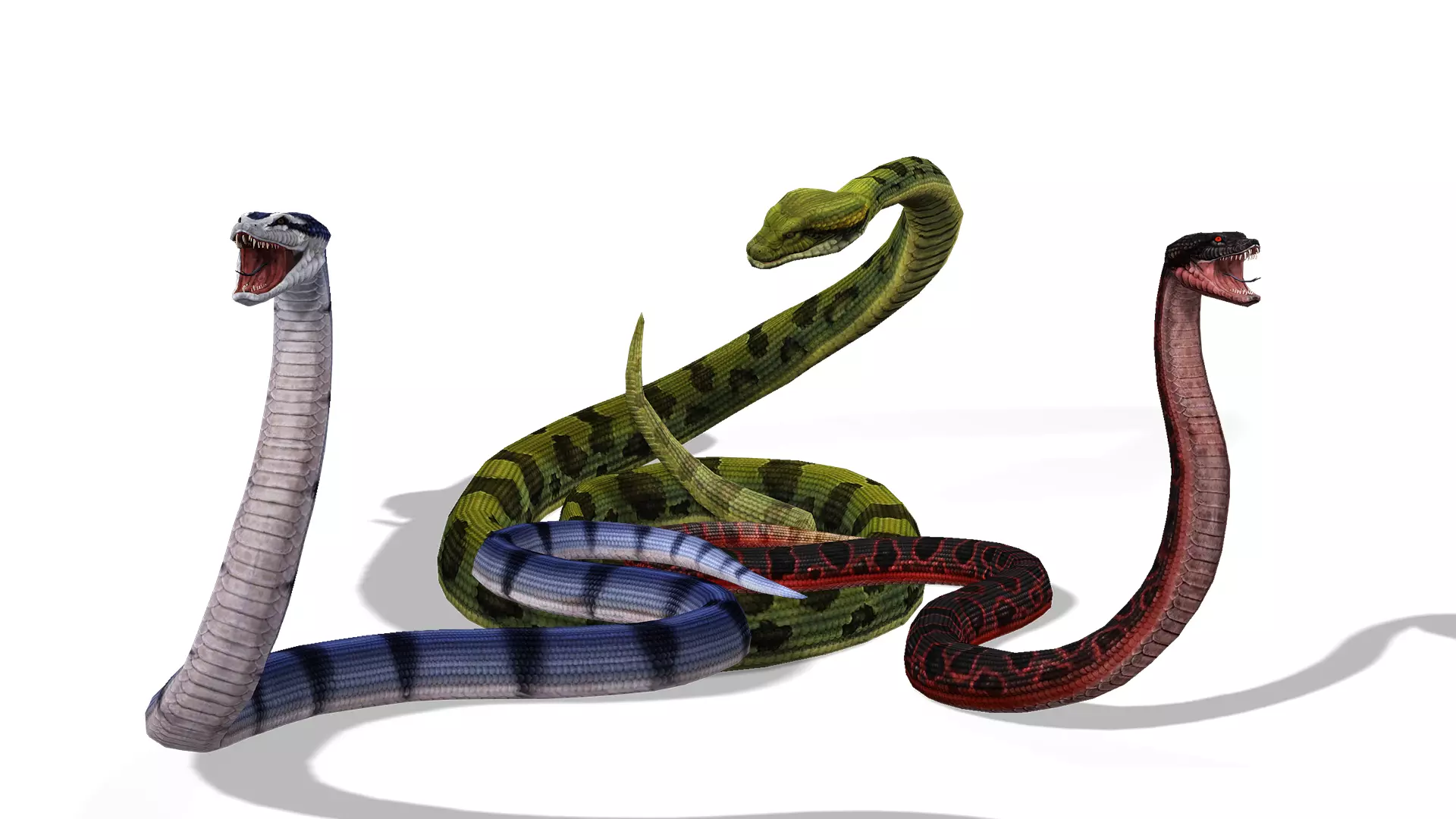 Animated Anaconda Rigged Low-poly 3D model_0