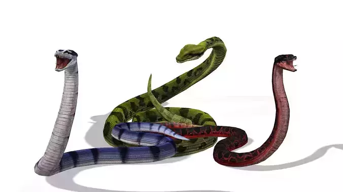 Animated Anaconda Rigged