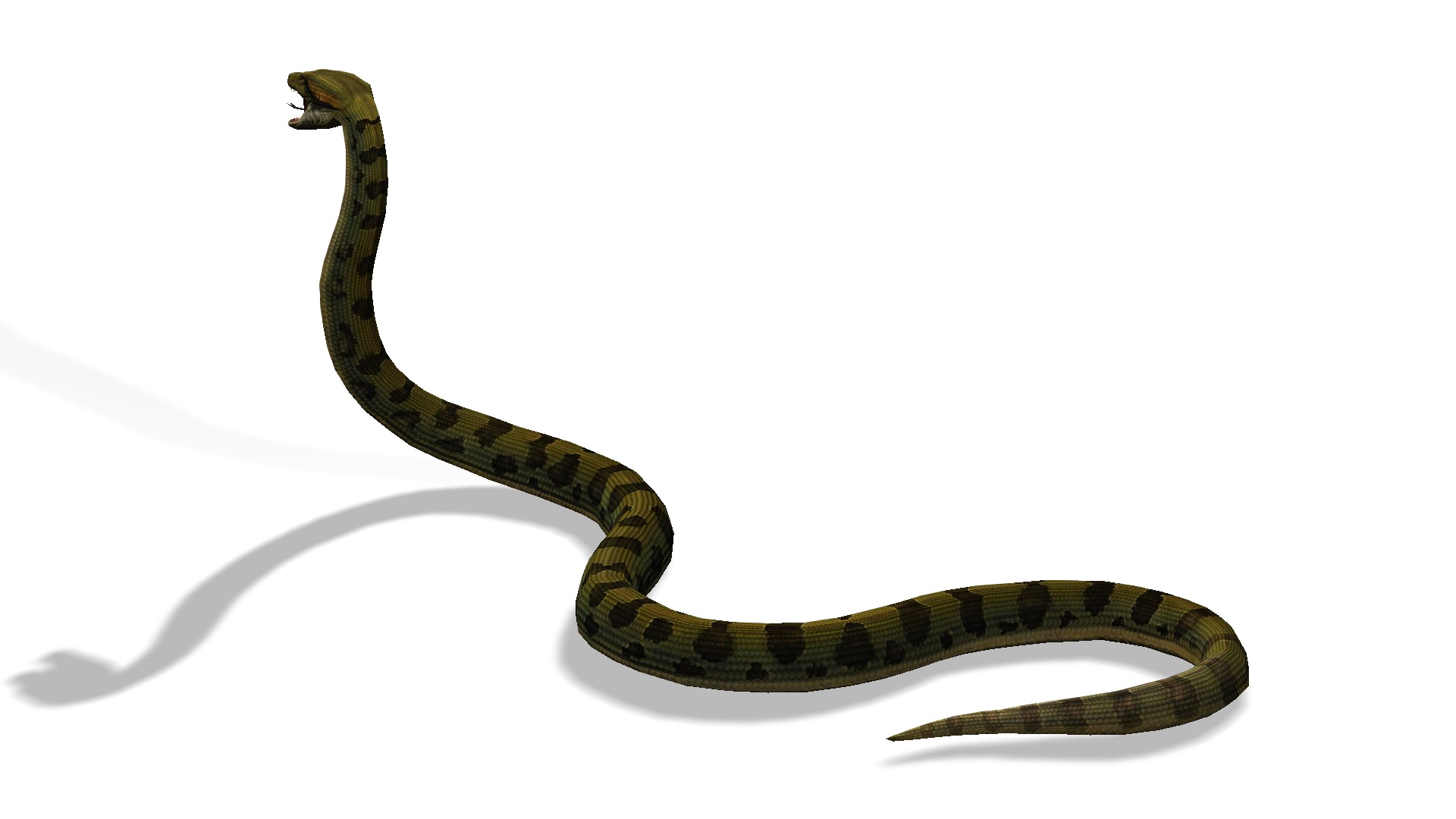 Animated Anaconda Rigged Low-poly 3D model_3