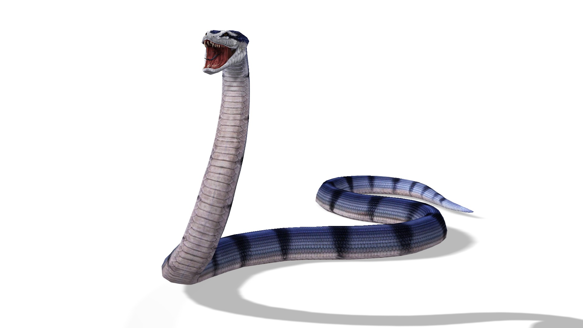 Animated Anaconda Rigged Low-poly 3D model_13