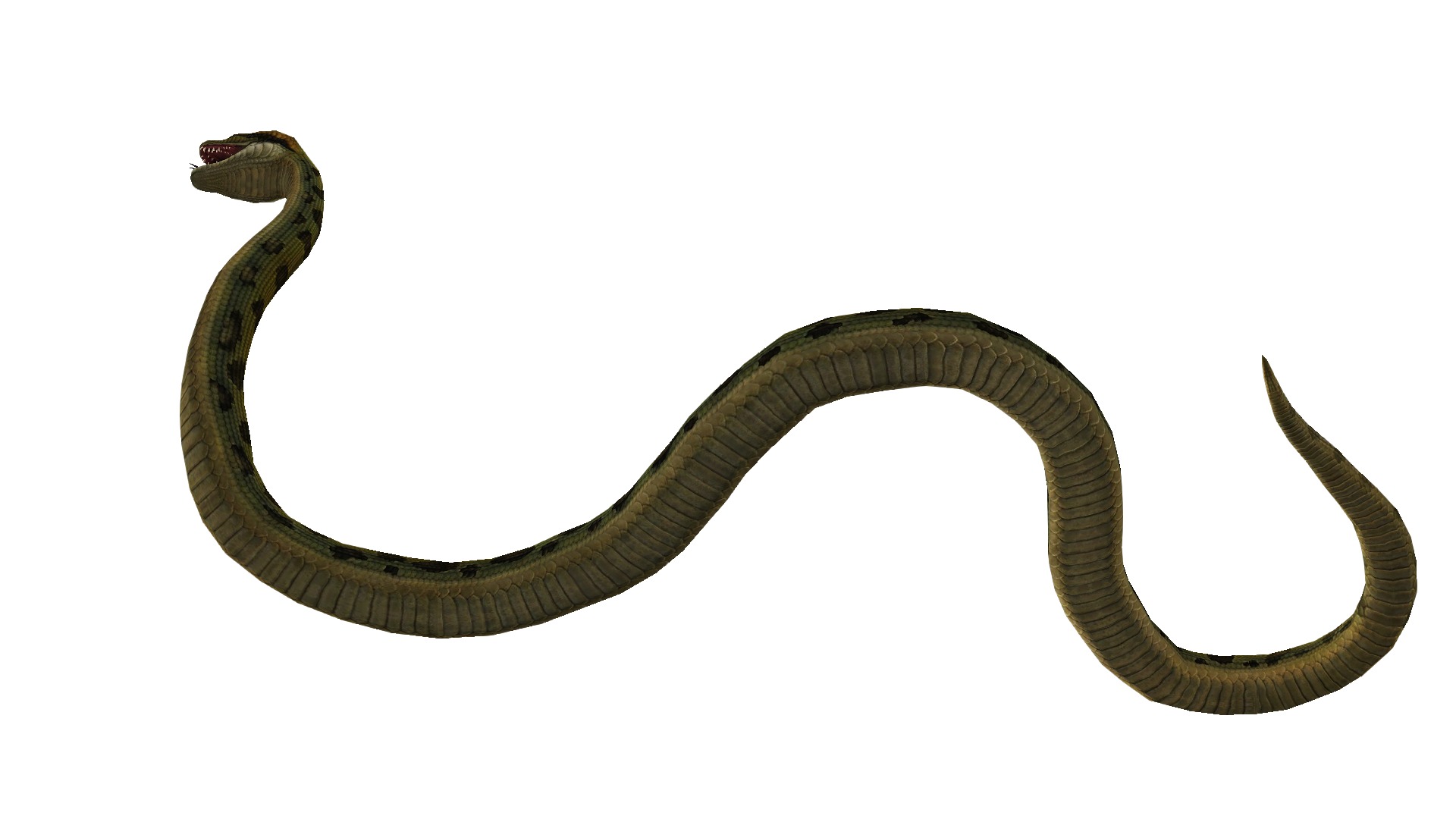 Animated Anaconda Rigged Low-poly 3D model_6