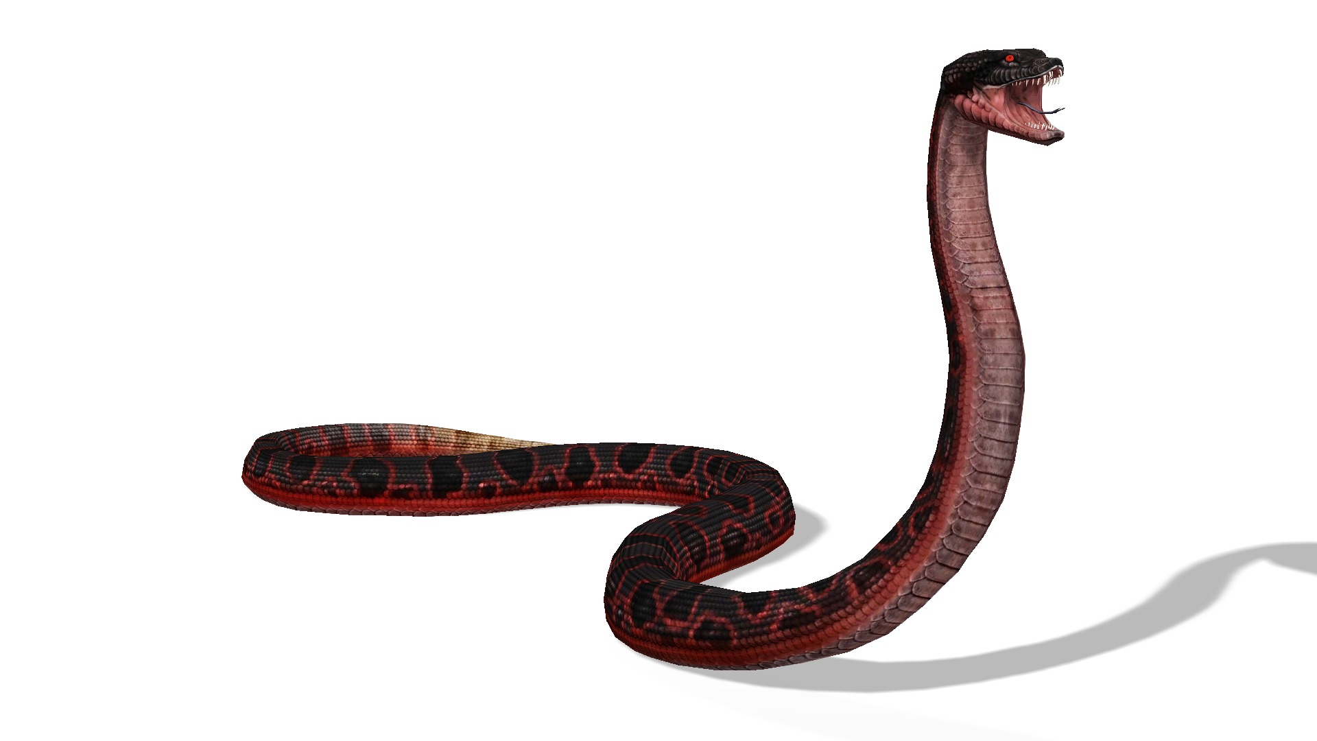 Animated Anaconda Rigged Low-poly 3D model_14
