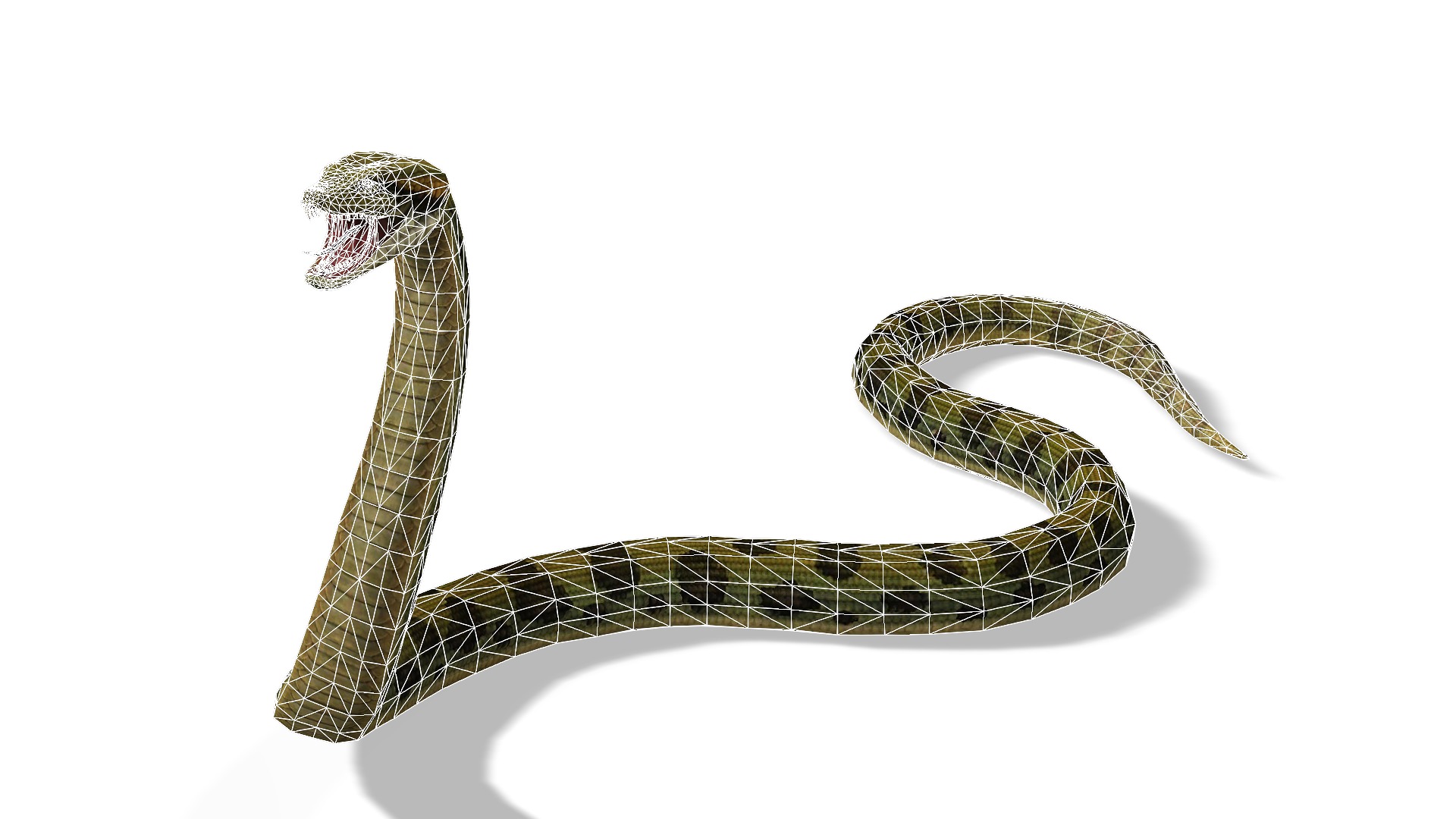 Animated Anaconda Rigged Low-poly 3D model_9