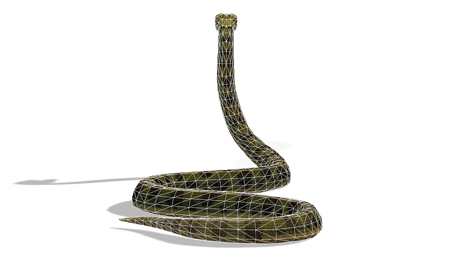 Animated Anaconda Rigged Low-poly 3D model_10